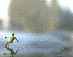 rog-splashing-in-water-gif-runner-gait-analysis-motivny