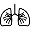 noun-lungs-1295551