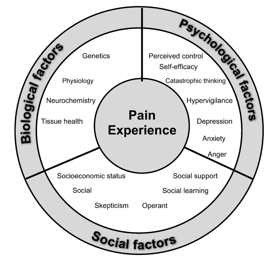 Biopsychosocial Model of Pain