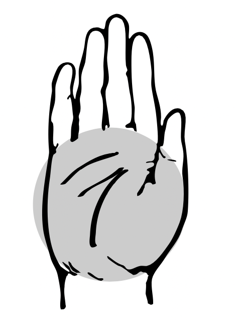 palm-picture-measure-protein